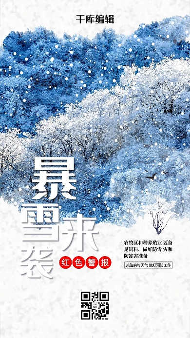暴雪来袭红色预警创意海报