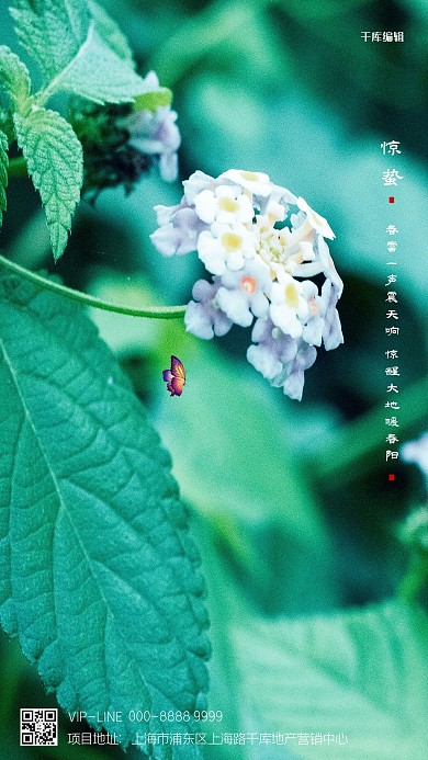 惊蛰花蝴蝶绿色写实海报