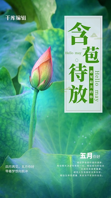五月你好荷花绿色创意海报