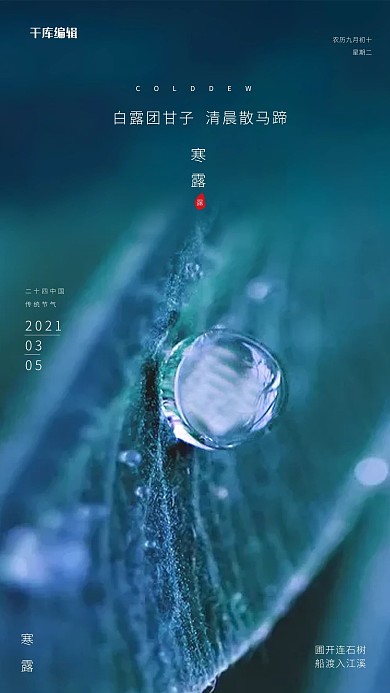 白露写实风格寒露宣传海报