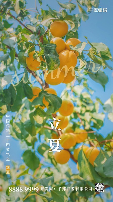 二十四节气立夏黄色简约海报