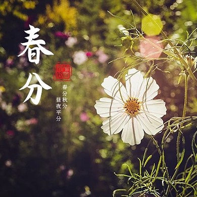 春分小花绿色摄影风公众号次图