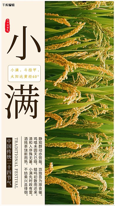 小满水稻黄色简约海报