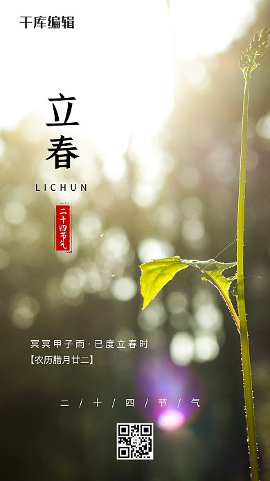 立春阳光植物绿色摄影图节气海报