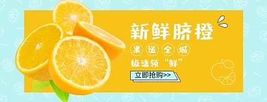 简约风格新鲜脐橙外卖店招