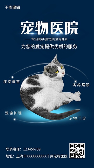 宠物健康医院蓝色摄影海报