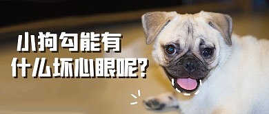 小狗勾能有什么坏心眼呢狗狗棕色搞笑公众号首图