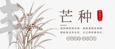 芒种小麦丰收传统节日节气会死简约公众号首图