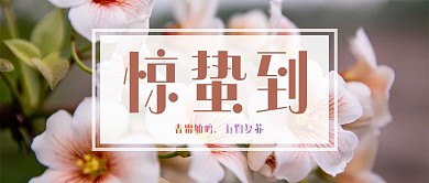 惊蛰花粉色小清新公众号首图