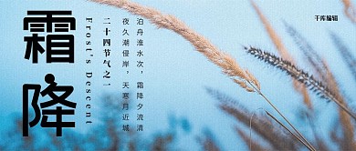 霜降芦苇蓝色简约公众号封面