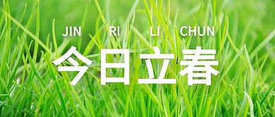 立春小草绿色简约公众号首图