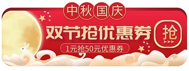 节日大促 狂欢 优惠券 促销胶囊图banner
