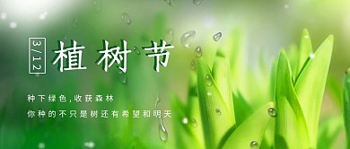 库编辑原创元素植树节树木绿色摄影风公众号首图