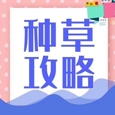 种草攻略几何粉色简约公众号封面次图