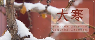 大寒雪景红色写实公众号首图