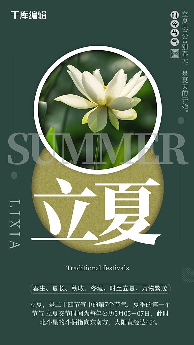 立夏花墨绿简约海报