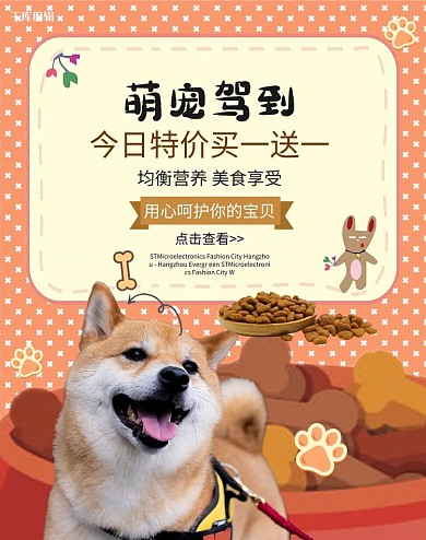 萌宠用品橘色简约banner