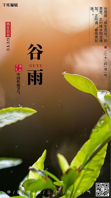 谷雨开叶橙黑摄影图海报