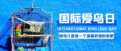 国际爱鸟日小鸟蓝色简约公众号首图