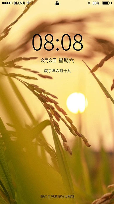 秋天逆光