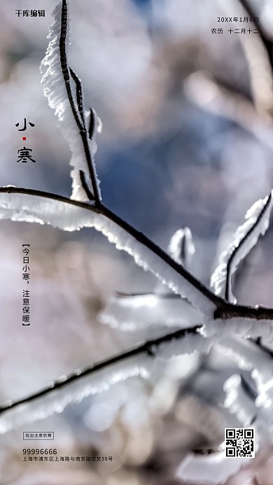 小寒写实创意简约海报