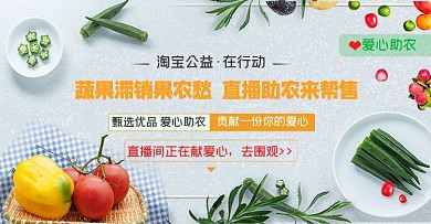 电商直播爱心助农蓝色清新banner