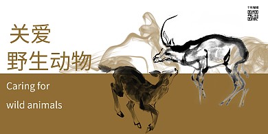 公益关爱野生动物梅花鹿褐色水