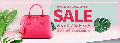 天猫唯美简约时尚女包海报模板