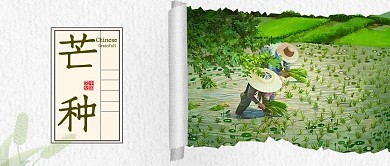 芒种公众号首图稻子绿色简洁公众号首图