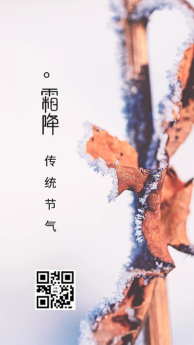 霜降枫叶白色创意海报