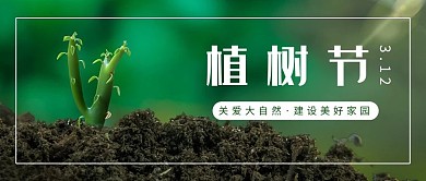 植树节树木简约摄影风公众号首图