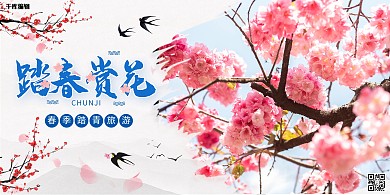 踏青春游摄影图粉色创意展板