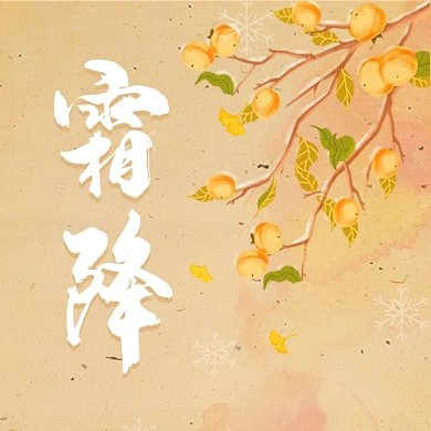 霜降柿子树彩色卡通配图