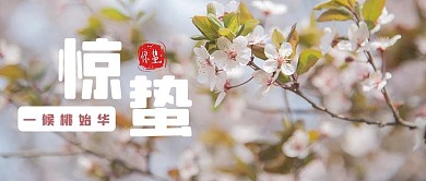 惊蛰桃花粉色摄影风公众号首图
