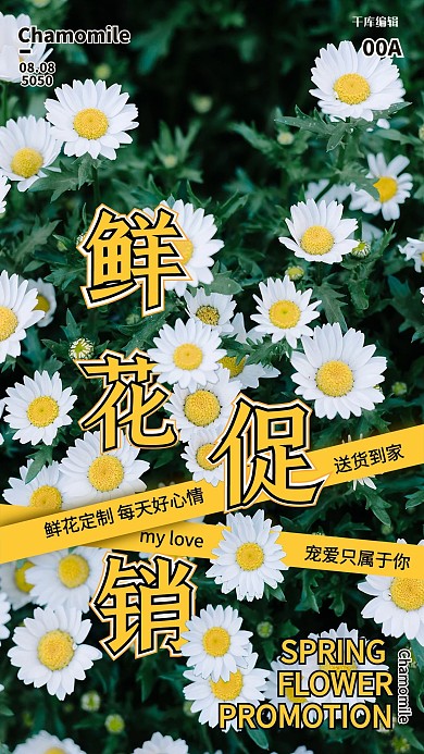 鲜花花店新品上新小白菊黄色白色绿色促销风海报