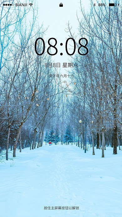 简约风下雪树木路手机壁纸