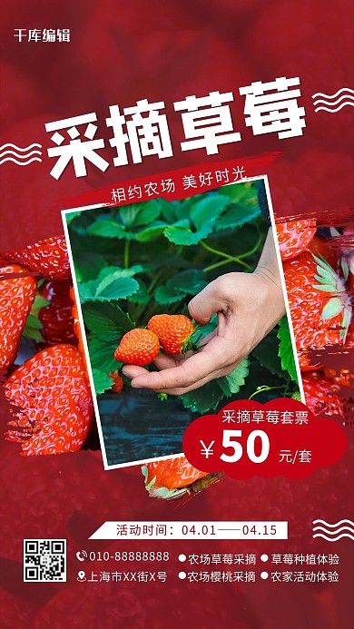 采摘草莓农家乐红色简约海报