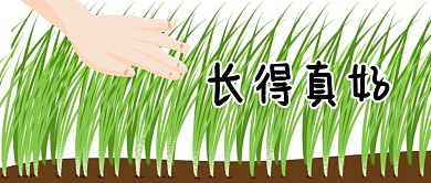 长得真好韭菜绿色搞笑公众号首图