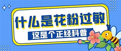 花粉过敏蜜蜂蓝色简约公众号首图