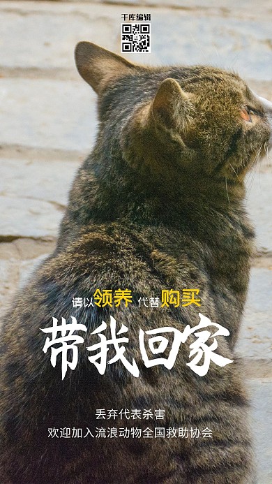 摄影图海报动物小猫黑色简约海报