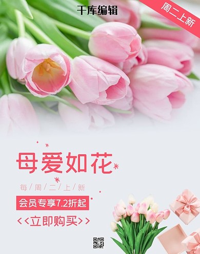 鲜花促销郁金香粉色简约banner