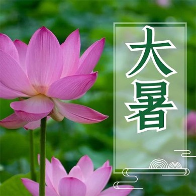 二十四节气大暑 绿色摄影公众号次图
