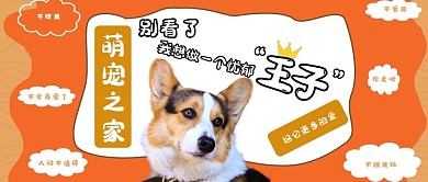 关爱宠物公众号封面图