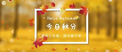 二十四节气落叶金黄色简约公众号首图