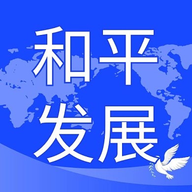 联合国和平发展蓝色简约公众号次图
