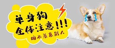 单身狗单身狗灰色简约公众号首图