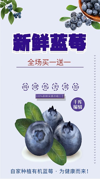 新鲜蓝莓蓝莓紫色简约海报