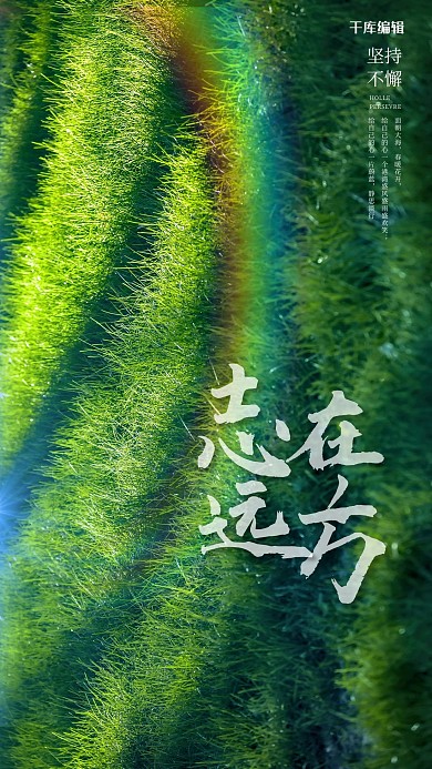 企业宣传草地绿色简约海报