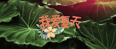 我爱夏天荷叶手绘微信公众号首图
