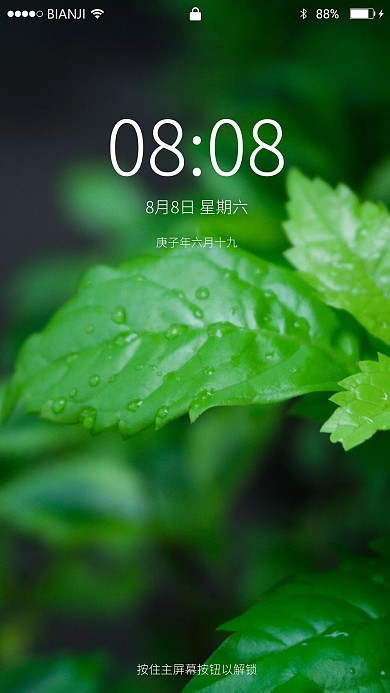 雨天过后绿色清新叶子手机壁纸
